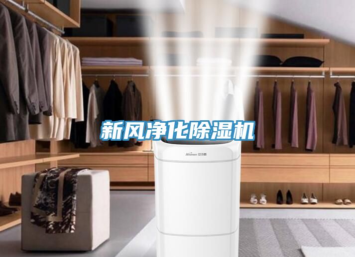 新風淨化小黄片软件免费下载