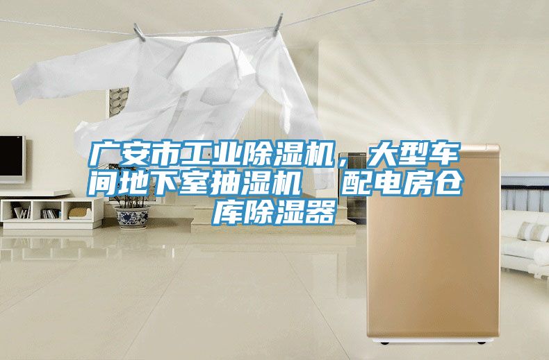 廣安市工業小黄片软件免费下载，大型車間地下室抽濕機  配電房倉庫除濕器