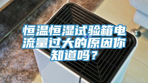恒溫恒濕試驗箱電流量過大的原因你知道嗎？