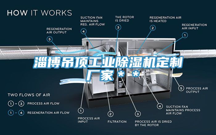 淄博吊頂工業小黄片软件免费下载定製 廠家＊＊