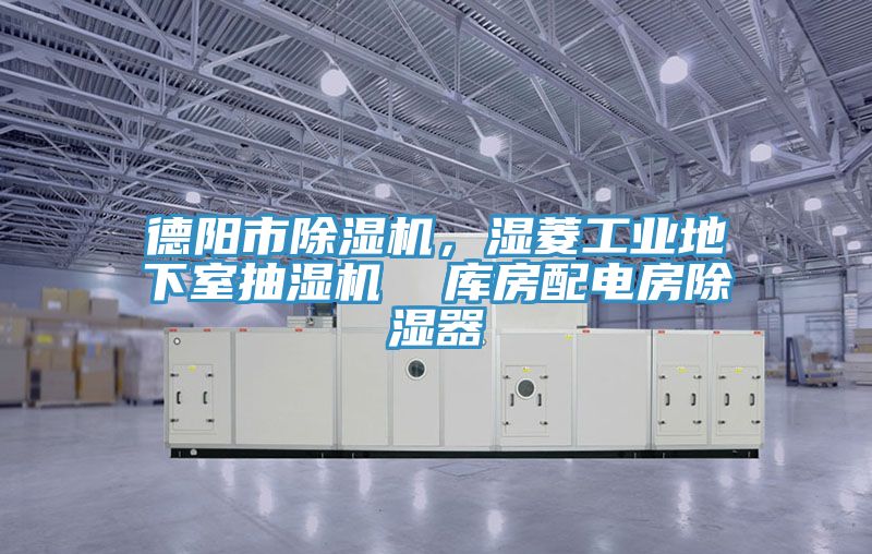 德陽市小黄片软件免费下载，濕菱工業地下室抽濕機  庫房配電房除濕器