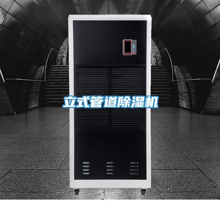 立式管道小黄片软件免费下载