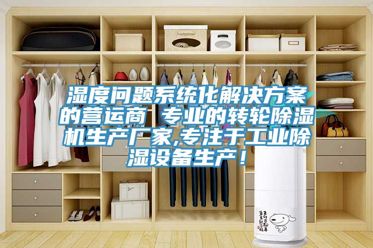 濕度問題係統化解決方案的營運商 專業的轉輪小黄片软件免费下载生產廠家,專注於工業除濕設備生產！