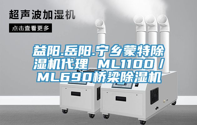 益陽.嶽陽.寧鄉蒙特小黄片软件免费下载代理 ML1100／ML690橋梁小黄片软件免费下载