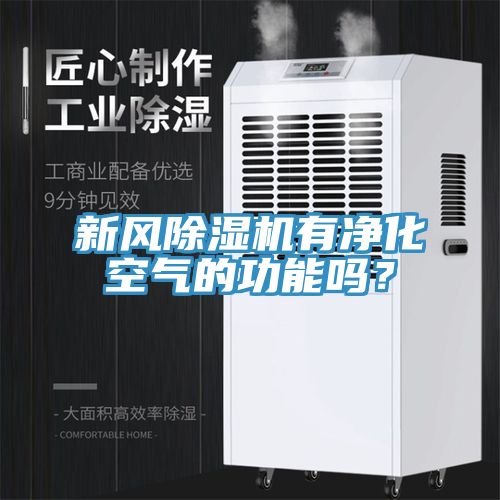 新風小黄片软件免费下载有淨化空氣的功能嗎？