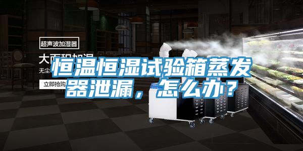 恒溫恒濕試驗箱蒸發器泄漏，怎麽辦？