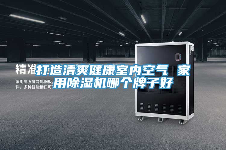 打造清爽健康室內空氣 家用小黄片软件免费下载哪個牌子好