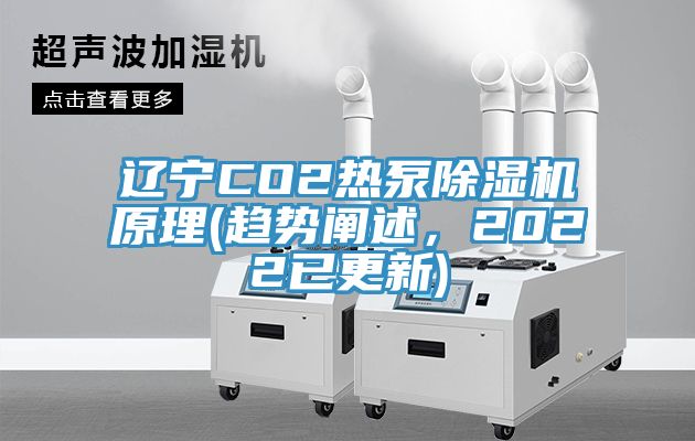遼寧CO2熱泵小黄片软件免费下载原理(趨勢闡述，2022已更新)