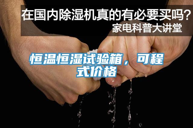 恒溫恒濕試驗箱，可程式價格