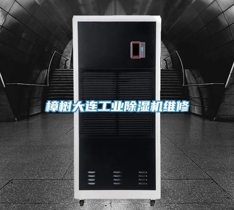 樟樹大連工業小黄片软件免费下载維修