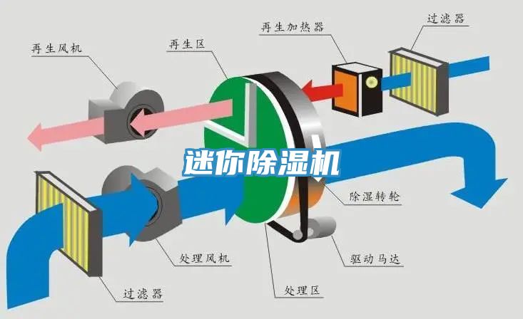 迷你小黄片软件免费下载