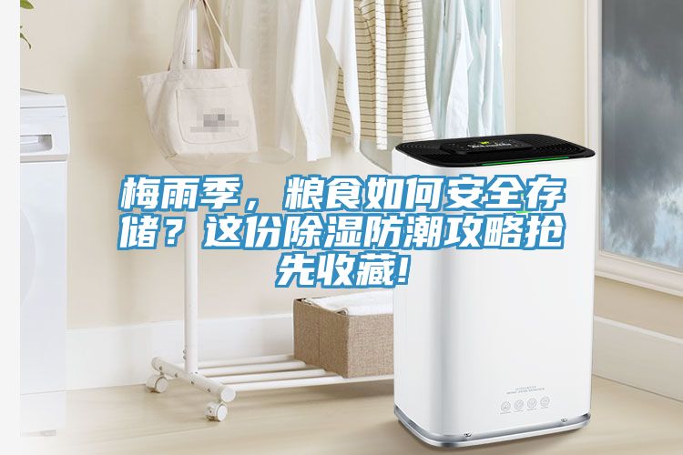 梅雨季，糧食如何安全存儲？這份除濕防潮攻略搶先收藏!