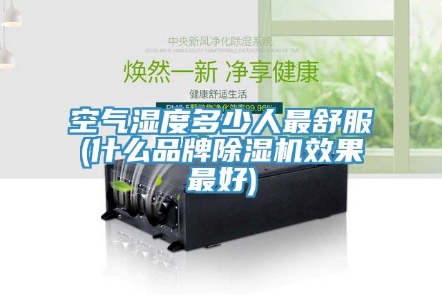 空氣濕度多少人最舒服(什麽品牌小黄片软件免费下载效果最好)
