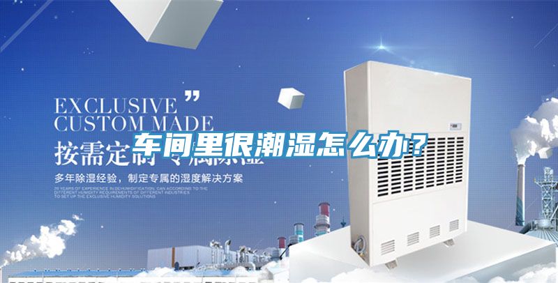 車間裏很潮濕怎麽辦？