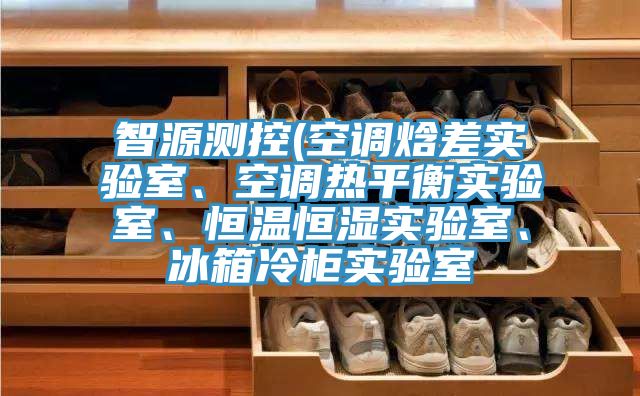 智源測控(空調焓差實驗室、空調熱平衡實驗室、恒溫恒濕實驗室、冰箱冷櫃實驗室