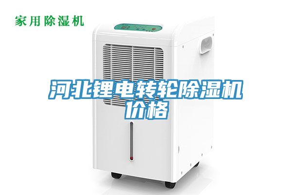 河北鋰電轉輪小黄片软件免费下载價格