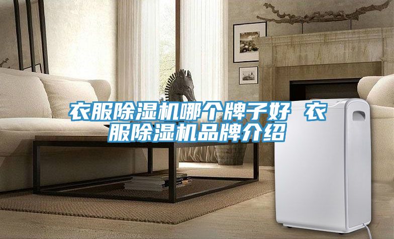 衣服小黄片软件免费下载哪個牌子好 衣服小黄片软件免费下载品牌介紹