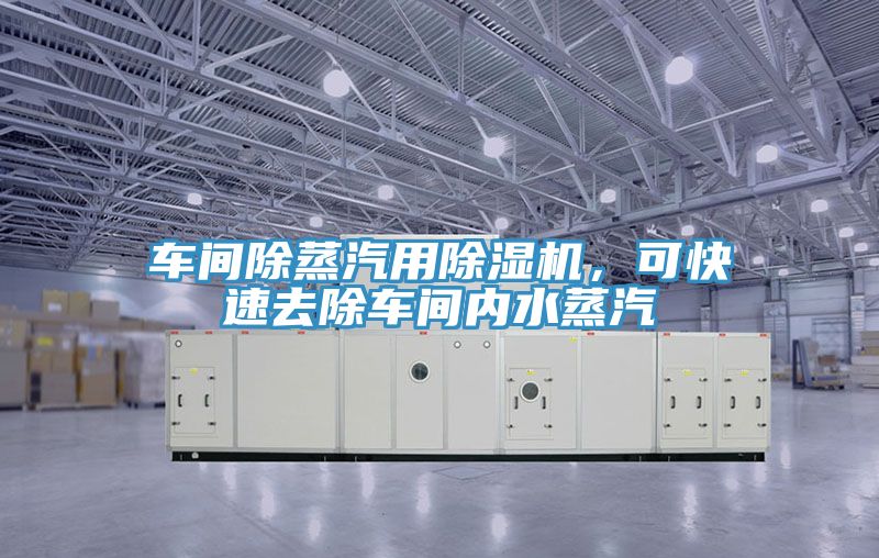 車間除蒸汽用小黄片软件免费下载，可快速去除車間內水蒸汽