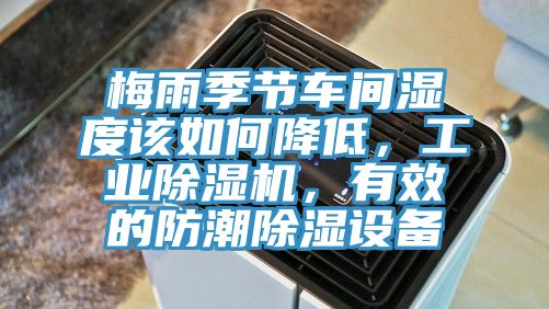 梅雨季節車間濕度該如何降低，工業小黄片软件免费下载，有效的防潮除濕設備