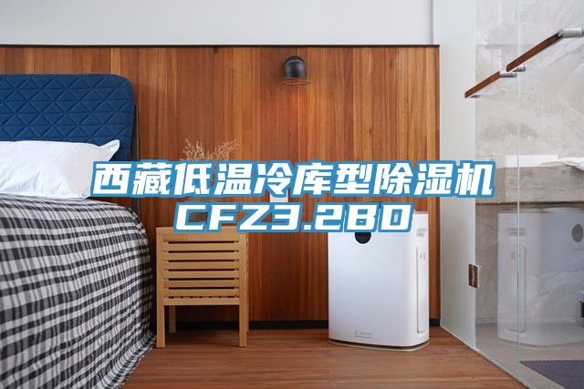 西藏低溫冷庫型小黄片软件免费下载CFZ3.2BD