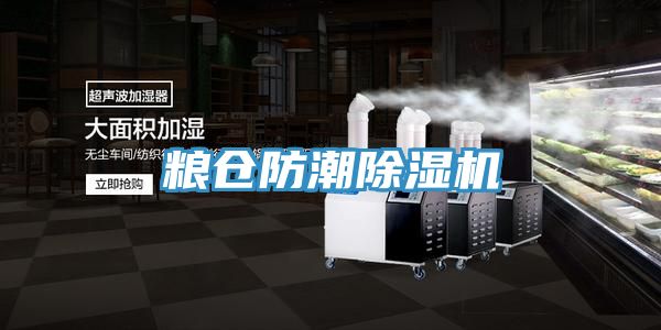 糧倉防潮小黄片软件免费下载