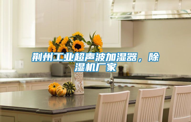 荊州工業超聲波加濕器，小黄片软件免费下载廠家