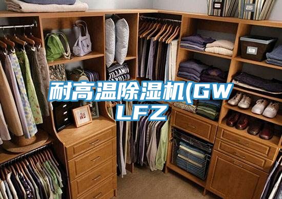 耐高溫小黄片软件免费下载(GWLFZ