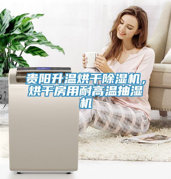 貴陽升溫烘幹小黄片软件免费下载，烘幹房用耐高溫抽濕機