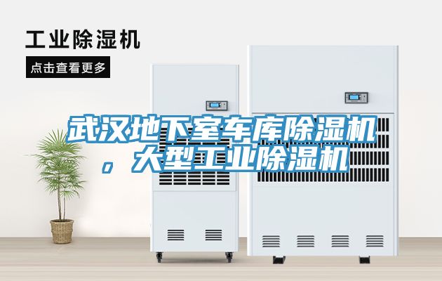 武漢地下室車庫小黄片软件免费下载，大型工業小黄片软件免费下载