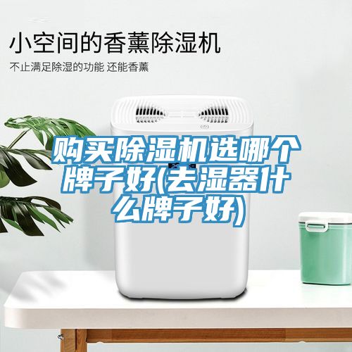 購買小黄片软件免费下载選哪個牌子好(去濕器什麽牌子好)