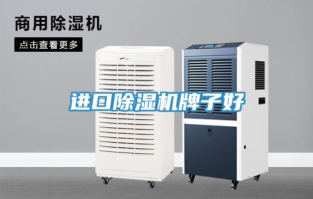 進口小黄片软件免费下载牌子好