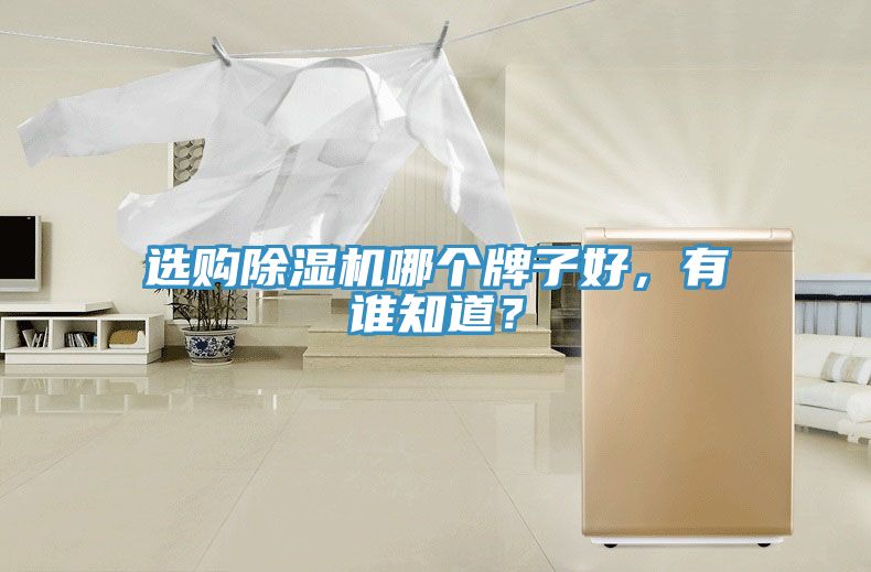 選購小黄片软件免费下载哪個牌子好，有誰知道？
