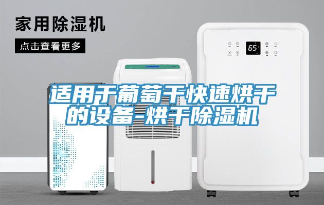 適用於葡萄幹快速烘幹的設備-烘幹小黄片软件免费下载