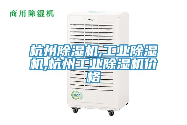 杭州小黄片软件免费下载,工業小黄片软件免费下载,杭州工業小黄片软件免费下载價格