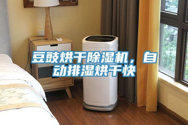 豆豉烘幹小黄片软件免费下载，自動排濕烘幹快