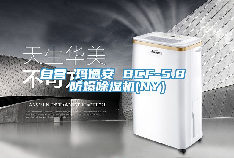 自營 瑪德安 BCF-5.8 防爆小黄片软件免费下载(NY)