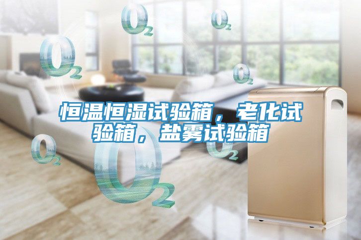恒溫恒濕試驗箱，老化試驗箱，鹽霧試驗箱