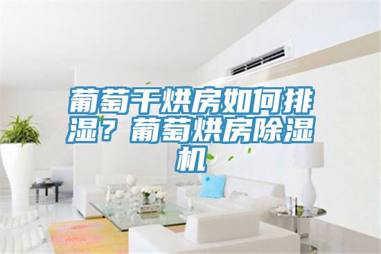 葡萄幹烘房如何排濕？葡萄烘房小黄片软件免费下载