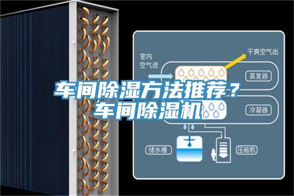 車間除濕方法推薦？車間小黄片软件免费下载
