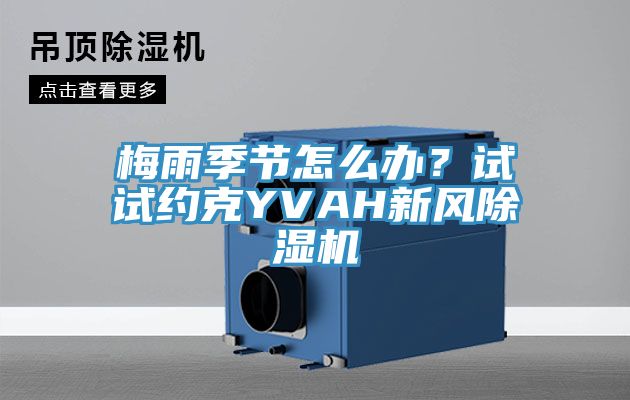 梅雨季節怎麽辦？試試約克YVAH新風小黄片软件免费下载