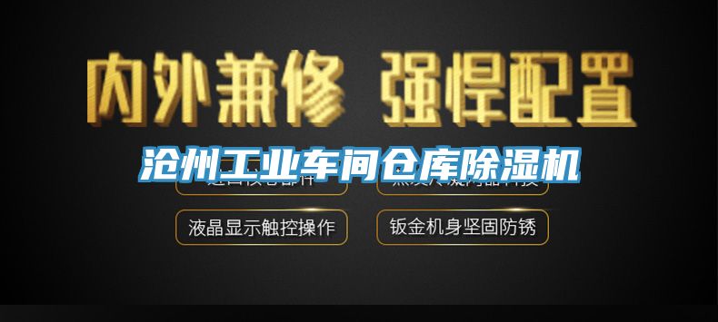 滄州工業車間倉庫小黄片软件免费下载