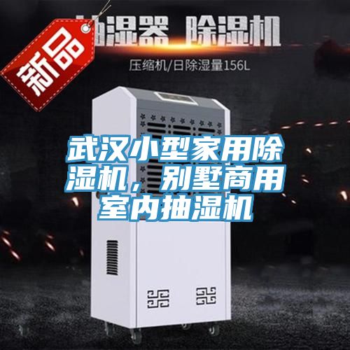 武漢小型家用小黄片软件免费下载，別墅商用室內抽濕機