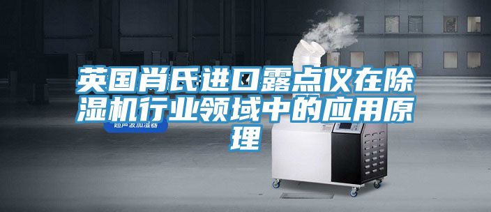 英國肖氏進口露點儀在小黄片软件免费下载行業領域中的應用原理