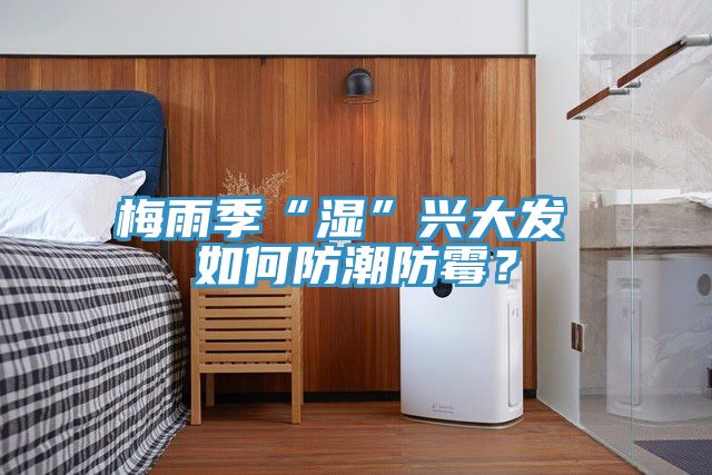 梅雨季“濕”興大發 如何防潮防黴？