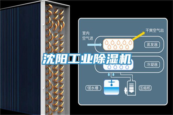 沈陽工業小黄片软件免费下载
