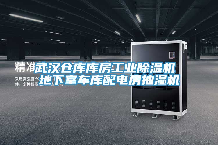 武漢倉庫庫房工業小黄片软件免费下载 地下室車庫配電房抽濕機