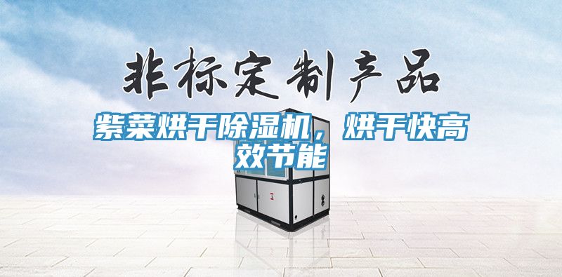 紫菜烘幹小黄片软件免费下载，烘幹快高效節能