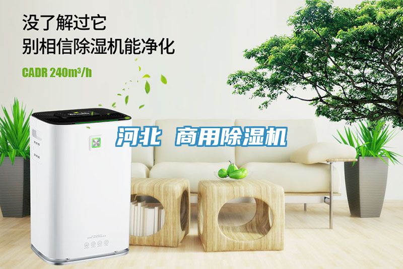 河北 商用小黄片软件免费下载