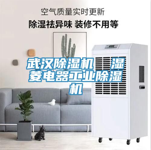 武漢小黄片软件免费下载  濕菱電器工業小黄片软件免费下载