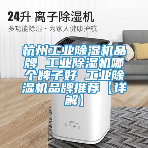 杭州工業小黄片软件免费下载品牌 工業小黄片软件免费下载哪個牌子好 工業小黄片软件免费下载品牌推薦【詳解】